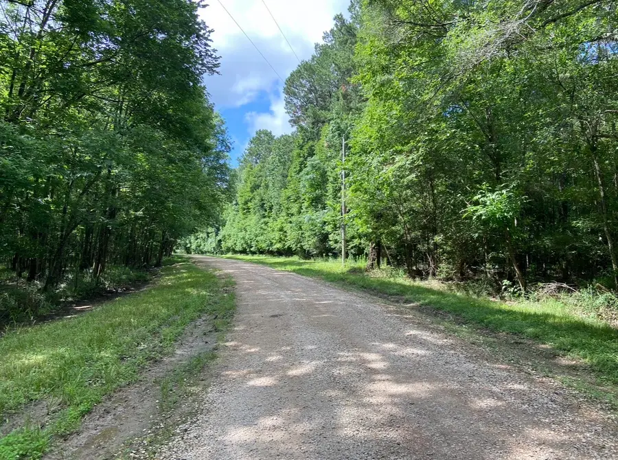 TBD Royal Estates Dr, Conroe, TX 77303 - #3