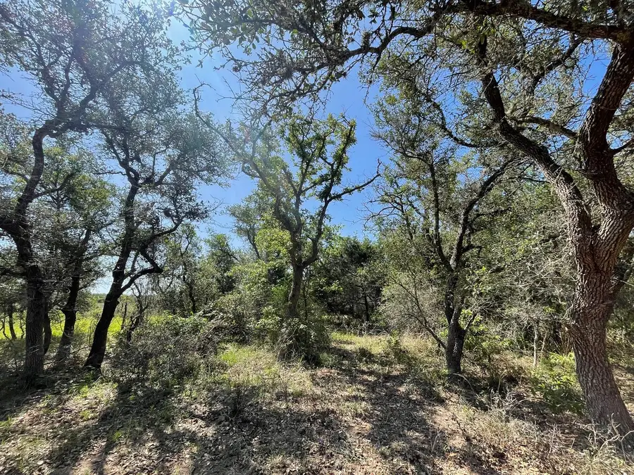 Lot 5 County Road 14, Hallettsville, TX 77964 - #3