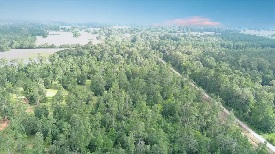 Lot 10 Gregory Lane, New Waverly, TX 77358 - #3