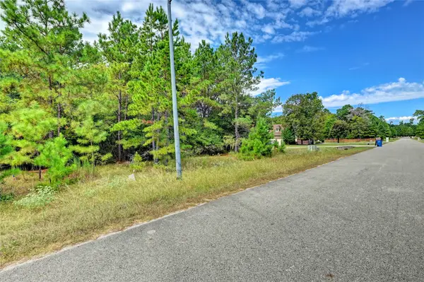 148 Port Au Prince Court, Montgomery, TX 77316