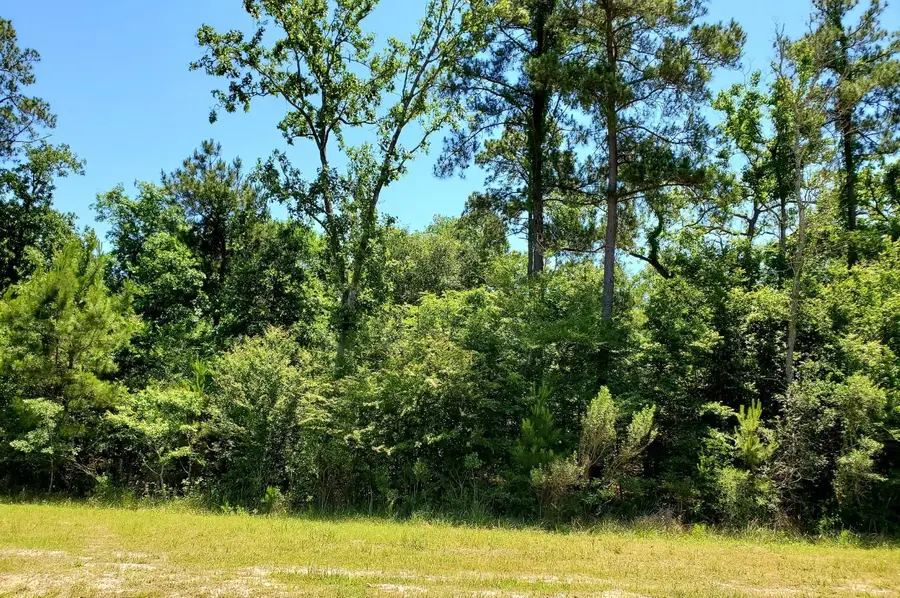 141 Kings Lake Estates Boulevard, Humble, TX 77346 - #2