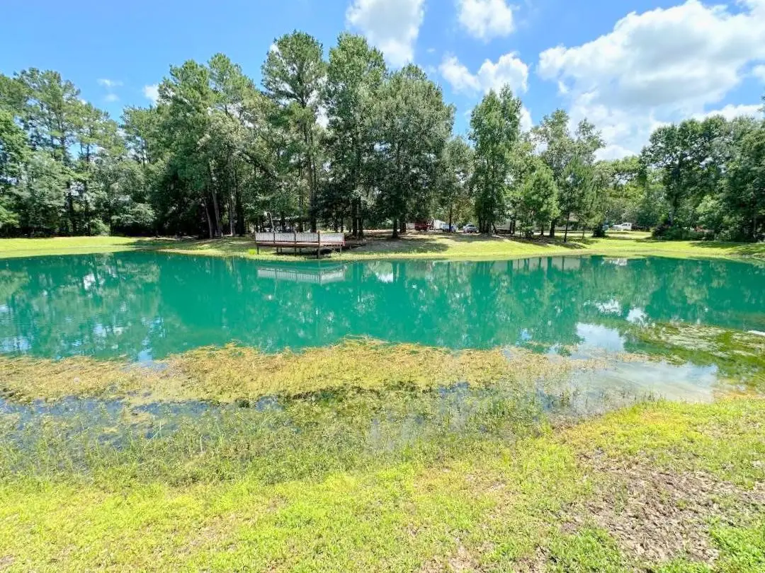 25920 Grand Pines, Magnolia, TX 77355 - #1