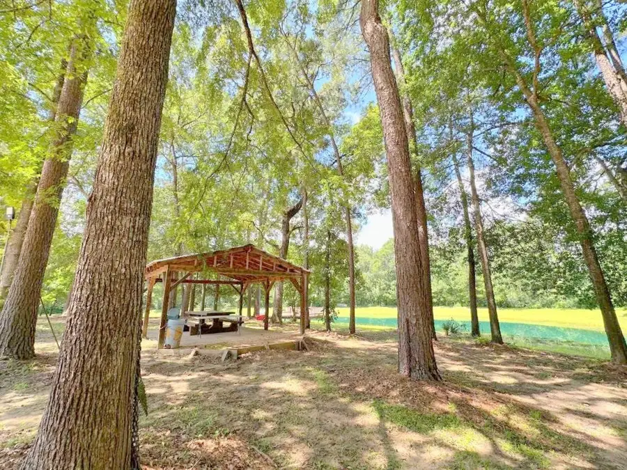 25920 Grand Pines, Magnolia, TX 77355 - #2
