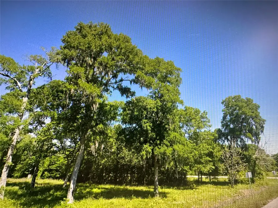 969 County Road 525, Sweeny, TX 77480 - #2