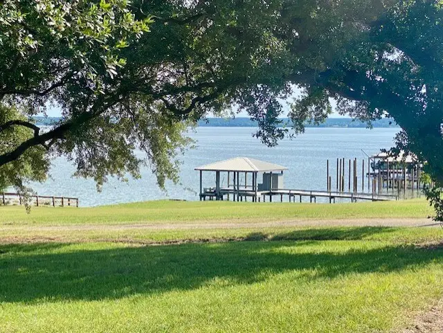 TBD Clearview Street, Point Blank, TX 77364 - #1