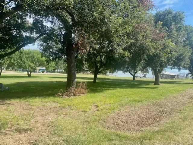 TBD Clearview Street, Point Blank, TX 77364 - #2