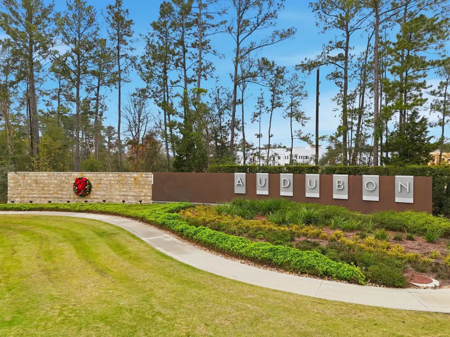 15010 Baikal Teal Terrace, Magnolia, TX 77354 - #3