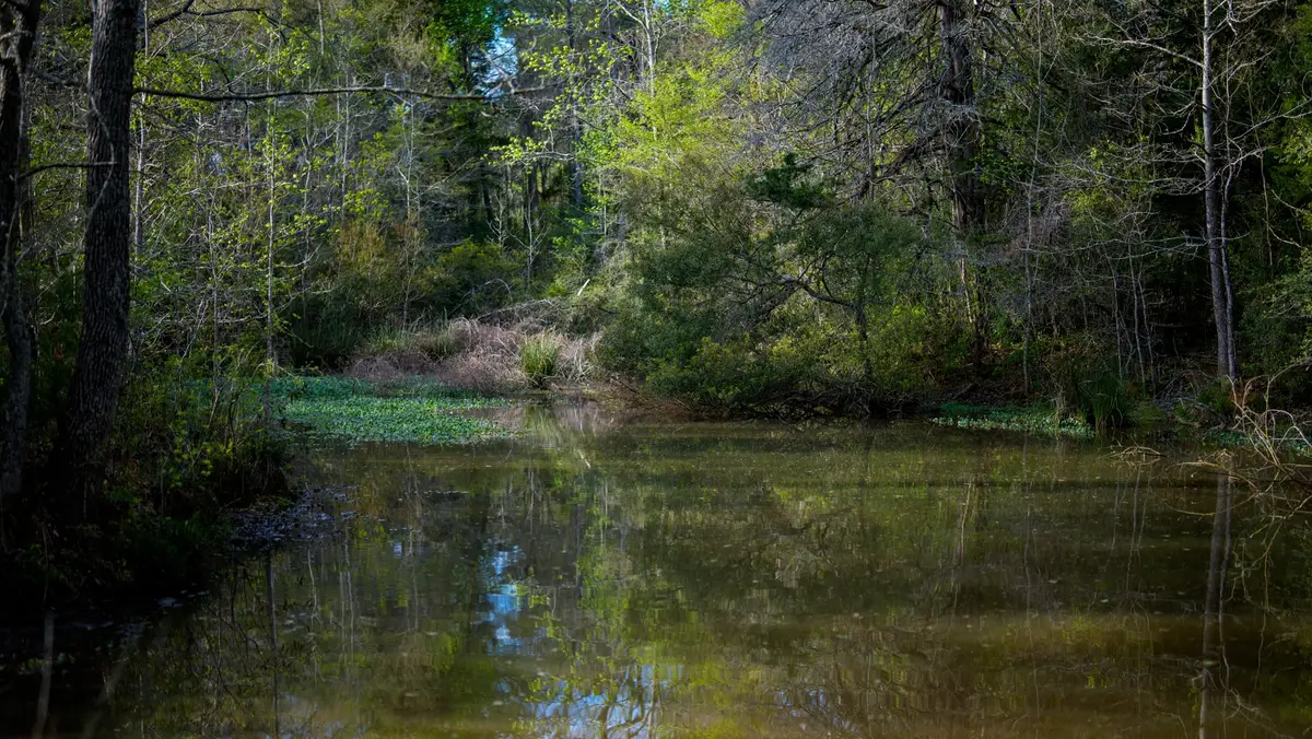 3773 W Sh 7, Porter Springs, TX 75823 - #1