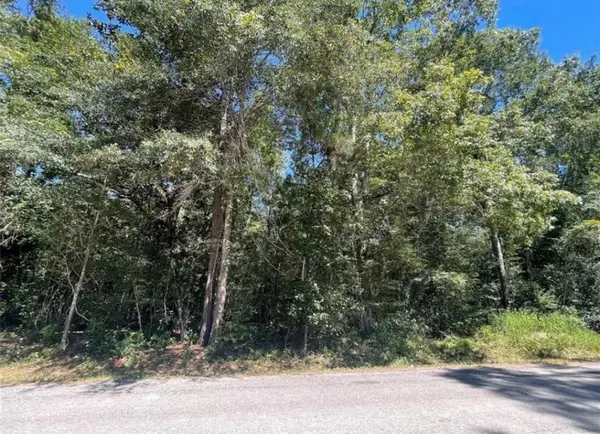 TBD County Road 3669c, Splendora, TX 77372