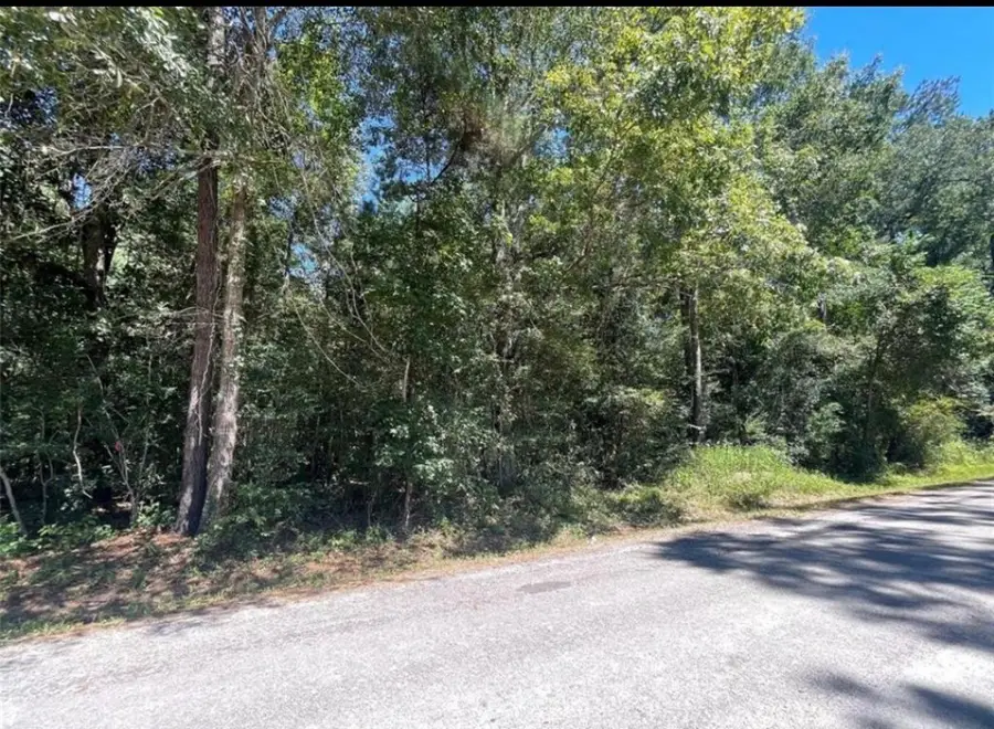 TBD County Road 3669c, Splendora, TX 77372 - #2