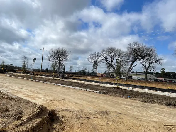 11735 Ruffian Drive, Willis, TX 77318