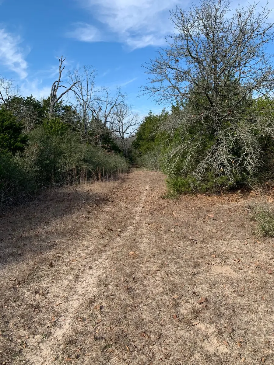 0000 Fm 937, Groesbeck, TX 76642 - #3