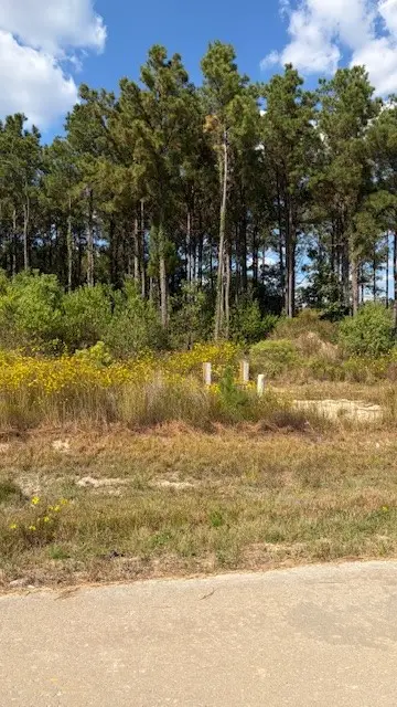 1369 Road 5890, Cleveland, TX 77327 - Image #2