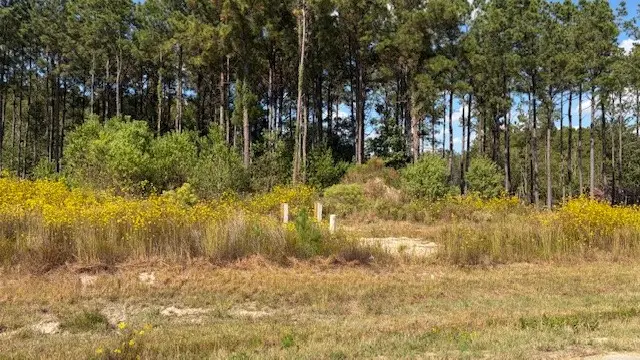 1369 Road 5890, Cleveland, TX 77327 - Image #3