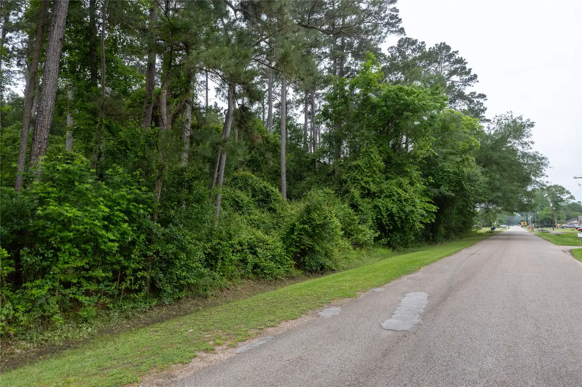0 Lazy Lane, Porter, TX 77365 - #1