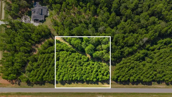 12920 Spacewood Pass, Willis, TX 77378