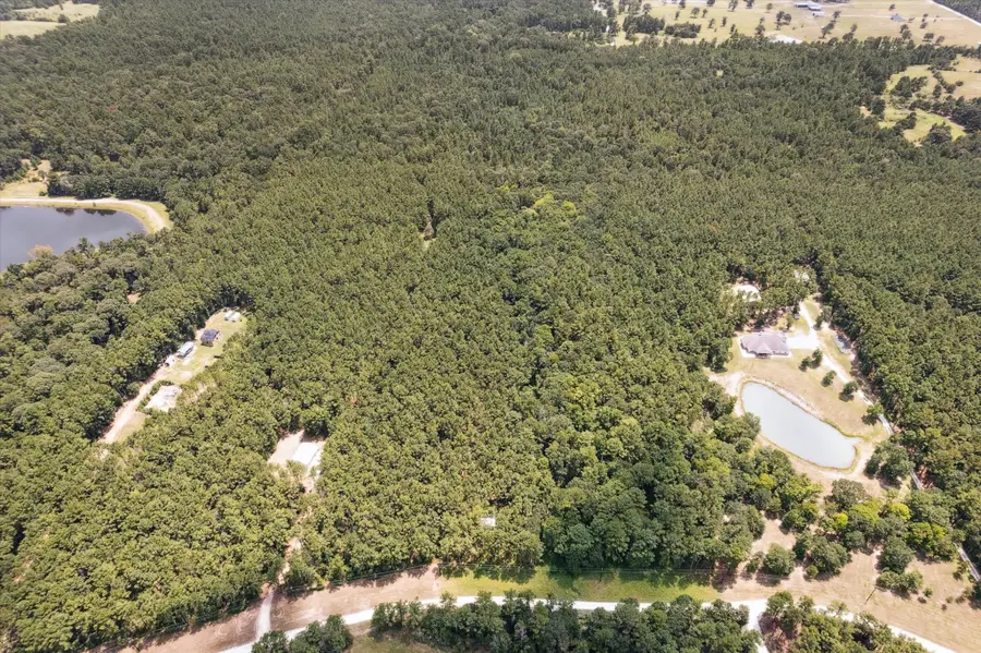 4970 Deep Forest Trail, Navasota, TX 77868 - Image #2