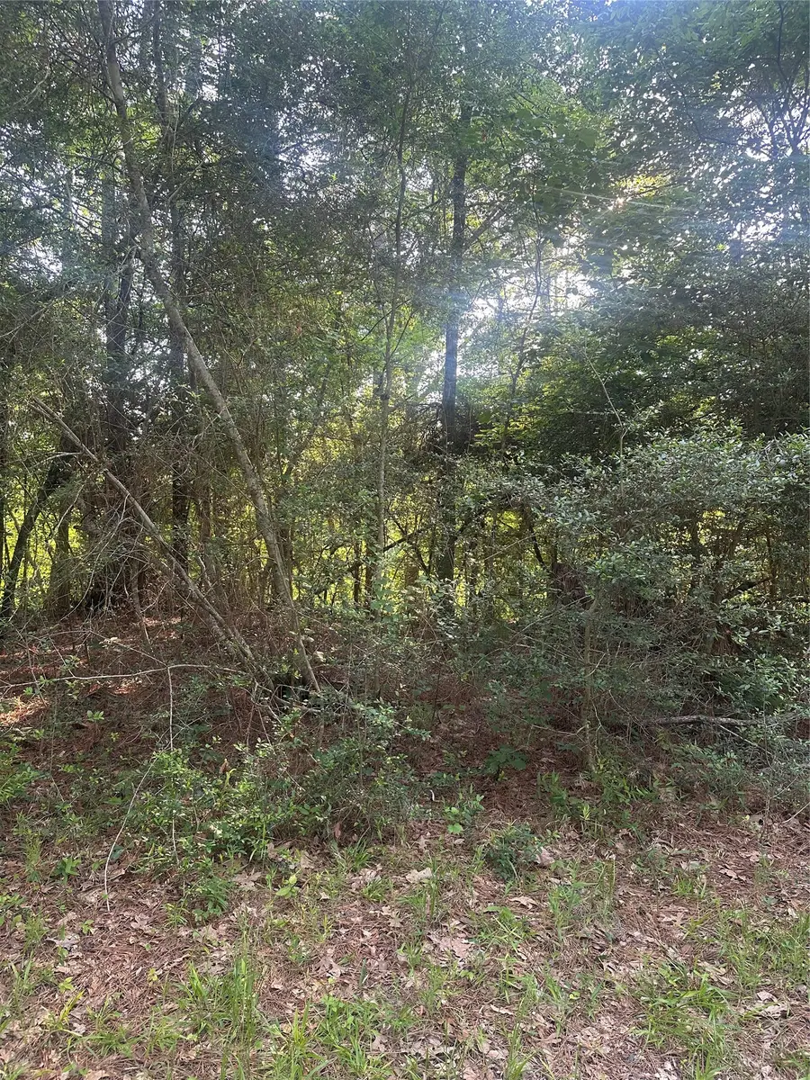TBD Tall, Livingston, TX 77351 - #3