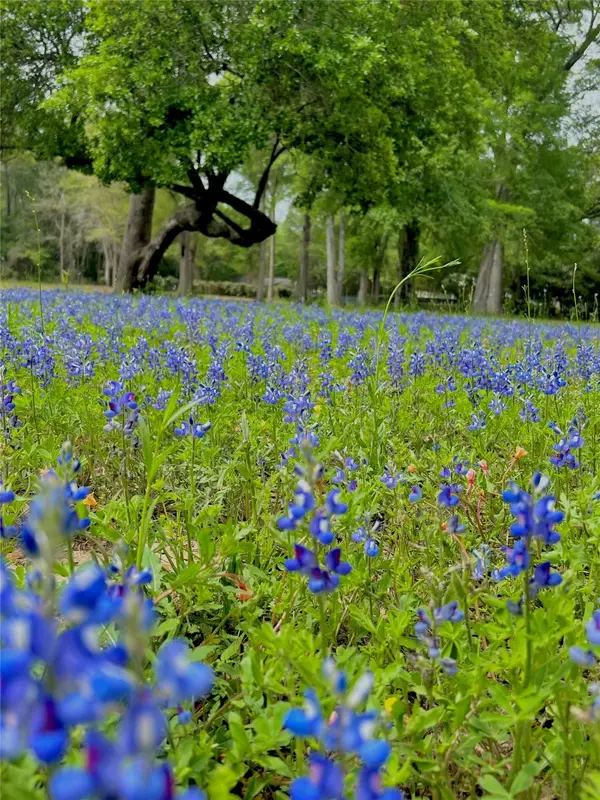 1011 N Nellius Street, Woodville, TX 75979