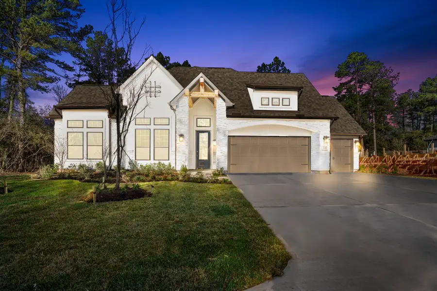 235 Nancy Lou Lane, Willis, TX 77318 - #2