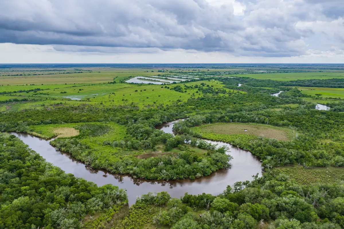 208 Cr 208, Danbury, TX 77534 - #1
