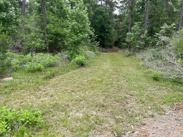 11544 Inspiration Drive, Willis, TX 77378