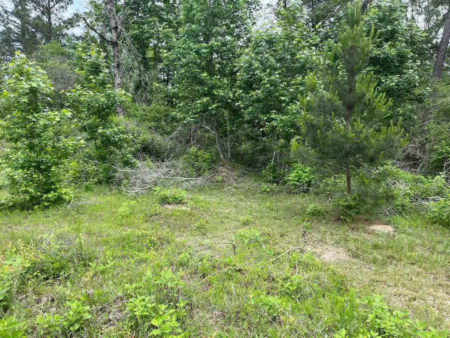 11544 Inspiration Drive, Willis, TX 77378 - #2