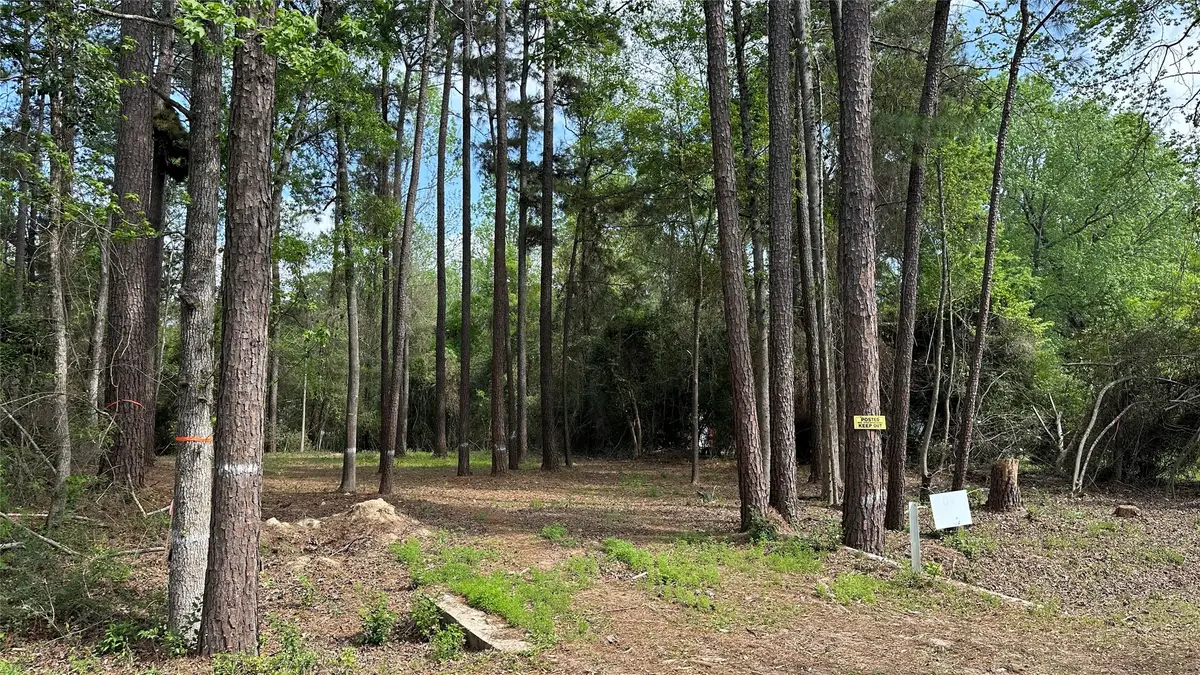 775 Huckleberry Circle, Onalaska, TX 77360 - #1