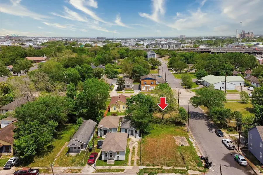 2604 Canfield Street, Houston, TX 77004 - #3