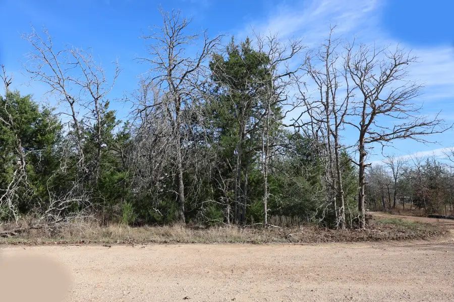 535 Blueberry Hill Road, Somerville, TX 77879 - #2