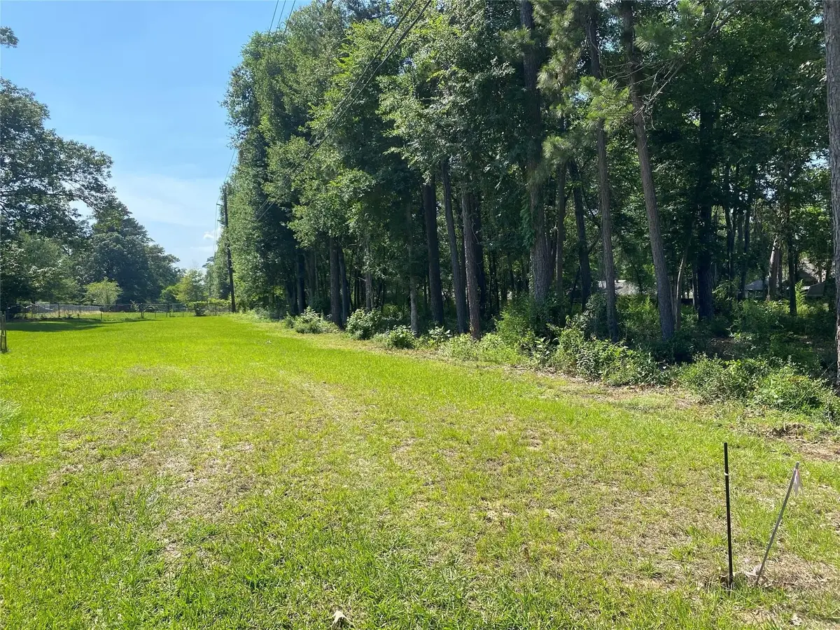 2107 Roman Forest Boulevard, New Caney, TX 77357 - #1