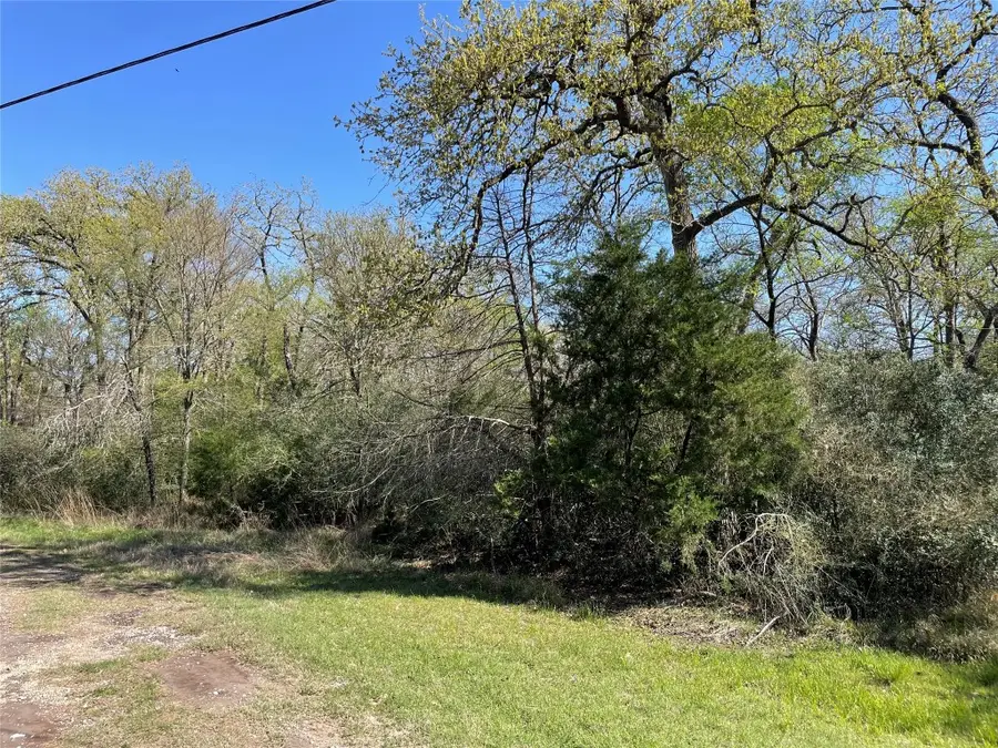 Lot 50 County Road 750, Thornton, TX 76687 - #3