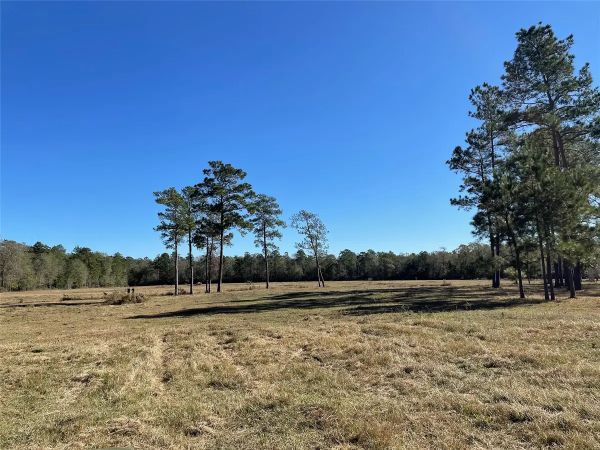 0 California Av, Cleveland, TX 77328 - #1