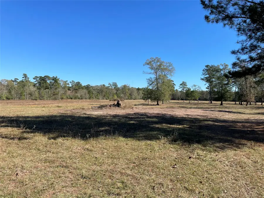 0 California Av, Cleveland, TX 77328 - #2