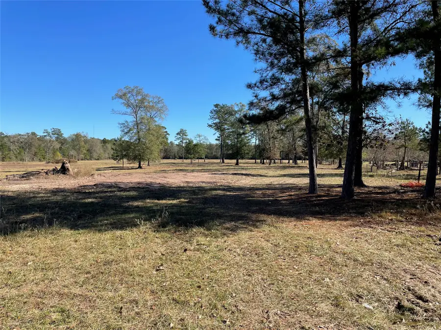 0 California Av, Cleveland, TX 77328 - #3