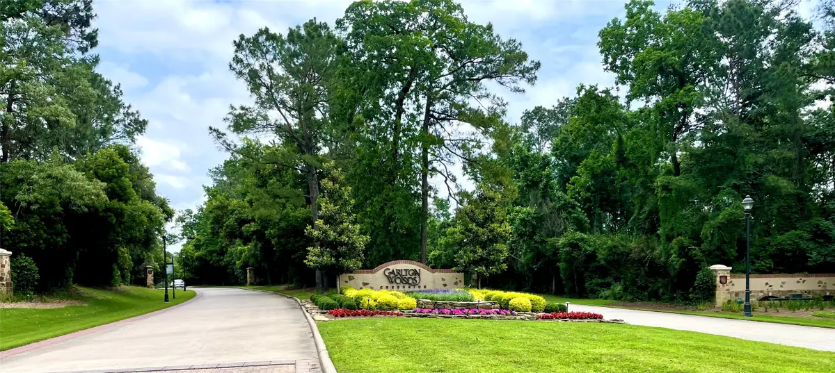 67 N Glenwild Circle, Spring, TX 77389 - #1