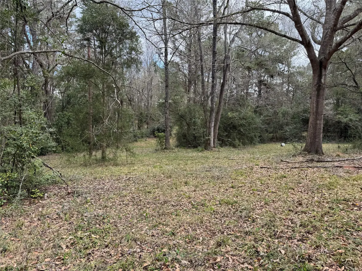 720 Everitt Road, Cleveland, TX 77328 - #1