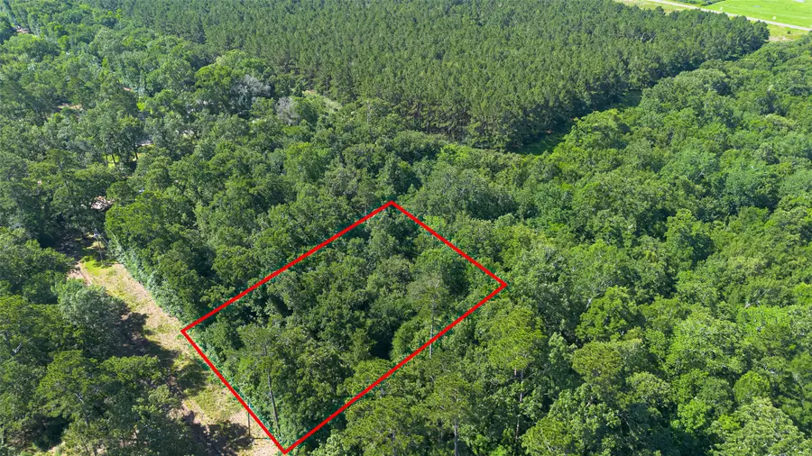 TDB Foyt Drive, Livingston, TX 77351 - #3