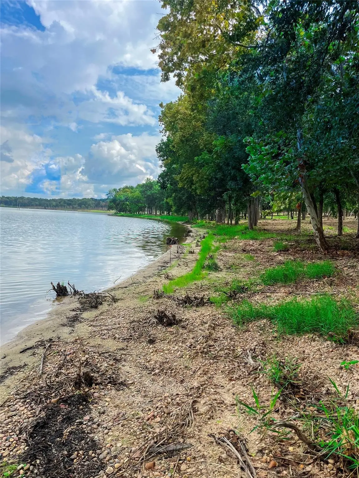 Lot 31- LCR 882 Limestone County Road, Jewett, TX 75846 - #1