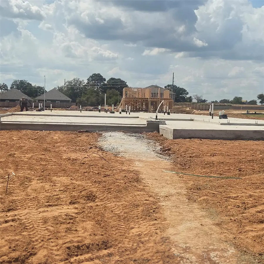 7510 Prairie Foxglove Way, Fulshear, TX 77441 - #3