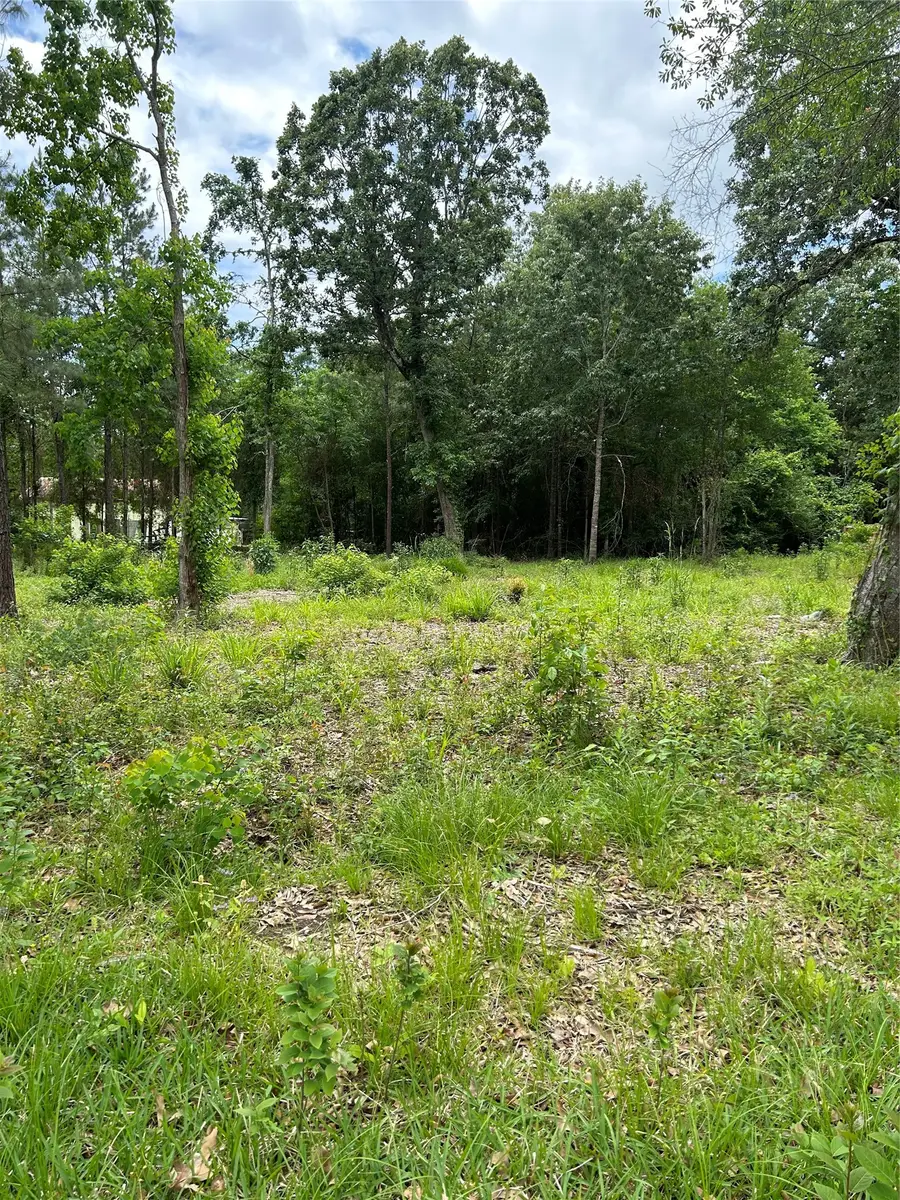 12 Timberglen, Livingston, TX 77351 - #2