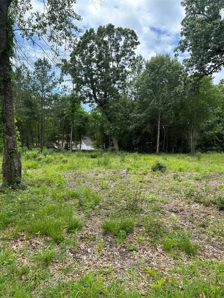 12 Timberglen, Livingston, TX 77351 - #3