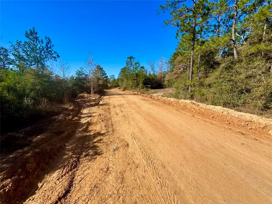 2845 County Road, Colmesneil, TX 75938 - #2