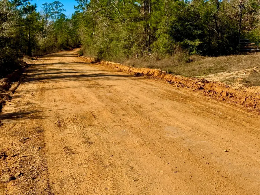 2845 County Road, Colmesneil, TX 75938 - #3