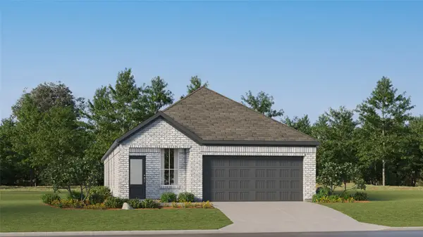 29015 Bison Haven Drive, Hockley, TX 77447