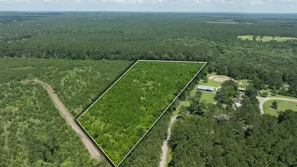 TBD Sandy Creed Rd, Zavalla, TX 75980