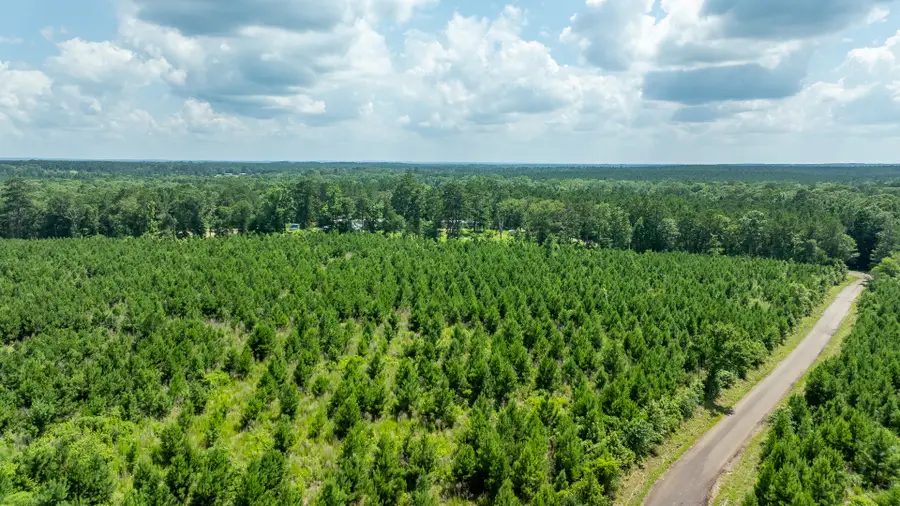 TBD Sandy Creed Rd, Zavalla, TX 75980 - #2