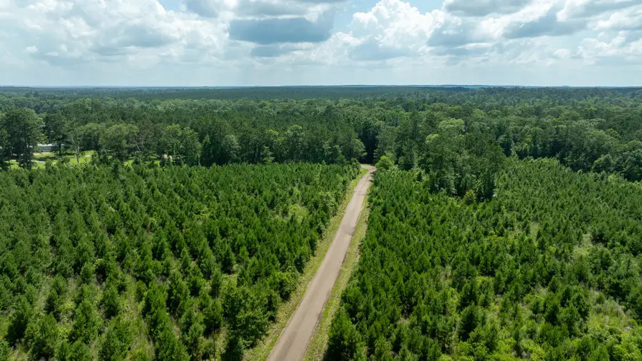 TBD Sandy Creed Rd, Zavalla, TX 75980 - #3