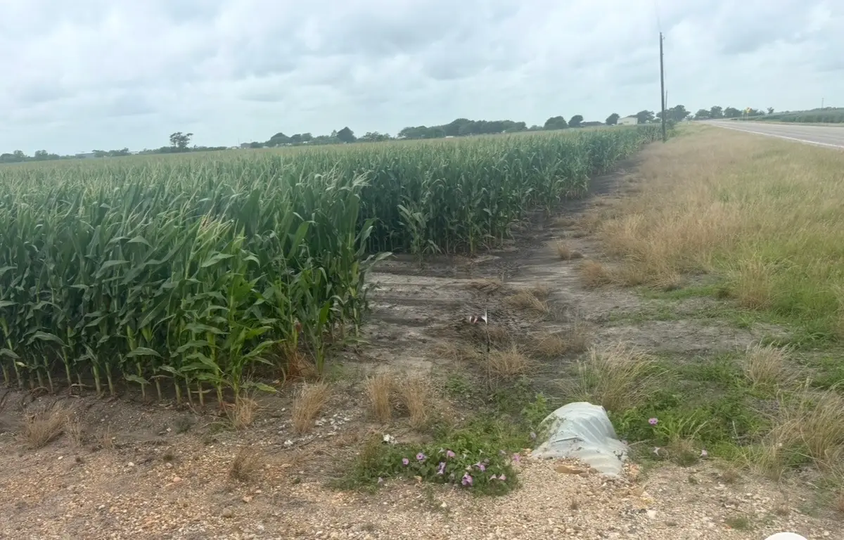 0 Fm 1162, Wharton, TX 77437 - #1