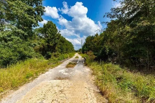 Lot 7 Blue Jay Drive, Kountze, TX 77625 - #2